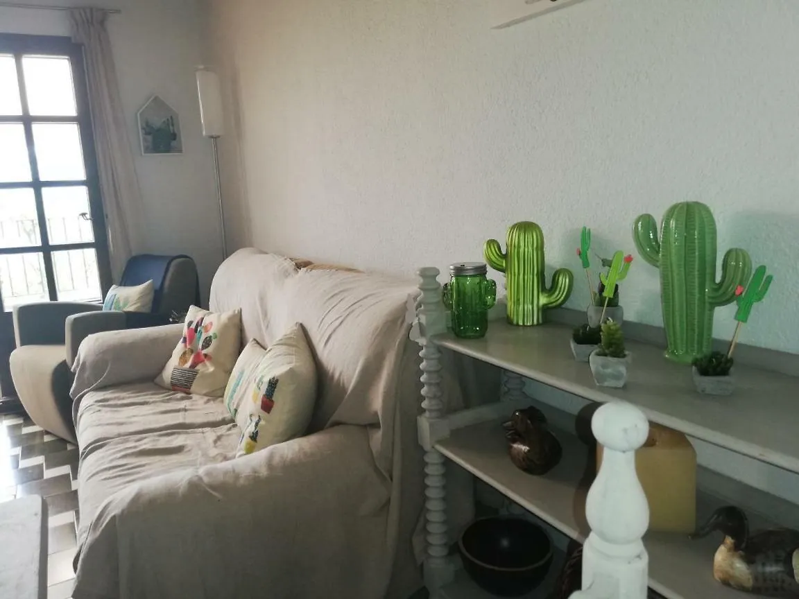 Can Cactus ガリゲイヤ アパート