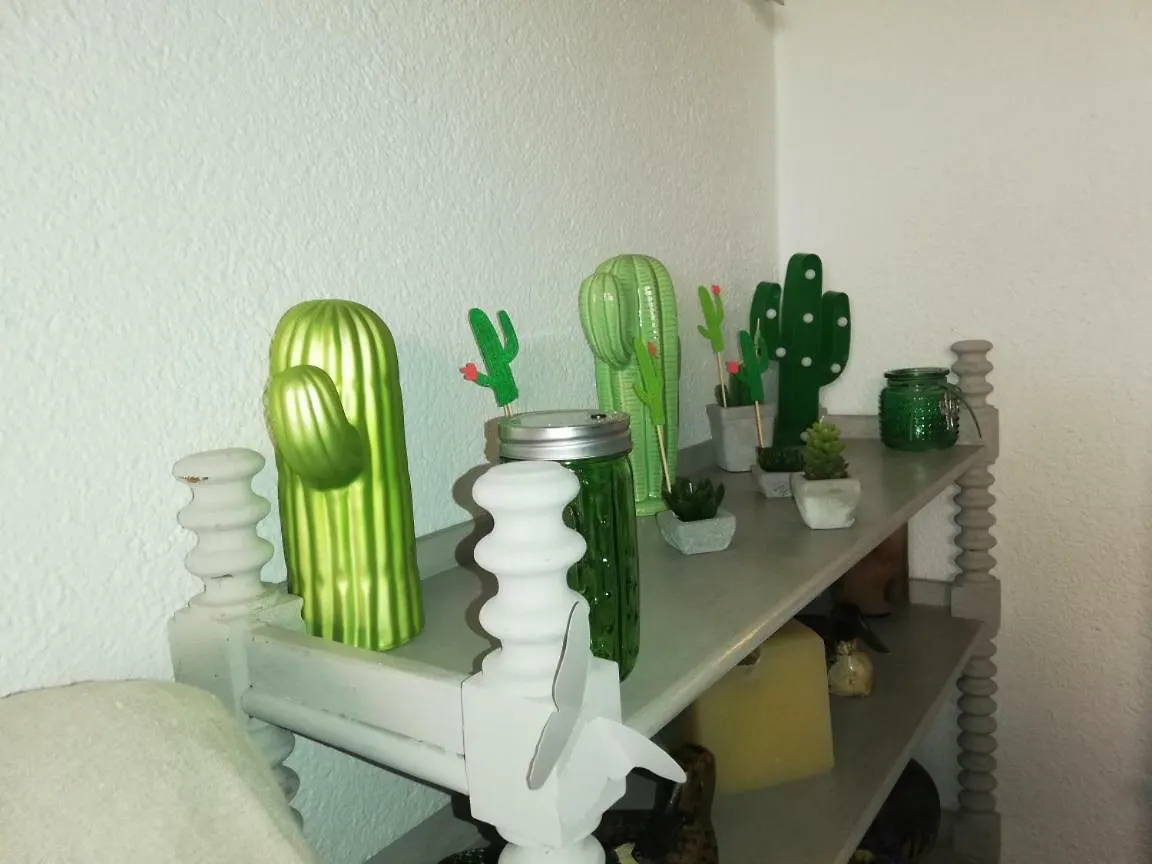 Can Cactus ガリゲイヤ 0*,  スペイン